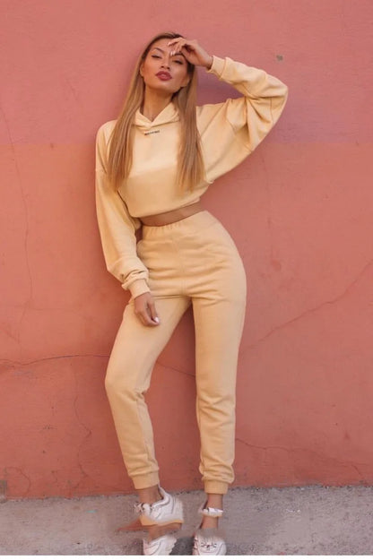 winter Tracksuits Women's Fleece Hoodies Two Piece Set Spring Autumn Lace Up Sweatshirts Pants Sets Female Casual Sports Suits