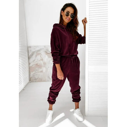 Autumn Velour Tracksuit Womens Velvet Set Woman Tracksuit Sets Winter Velvet Suit Two Piece Set Women 2 Piece Outfits