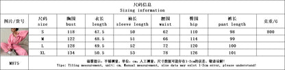 Hoodies Pant Two Piece Sets Women Tracksuit Set Autumn Pant Set Jogger Y2k Sweatshirts Sports Elastic Waist Pants Matching Sets